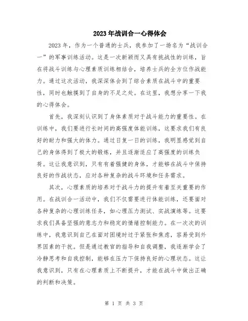 2023年战训合一心得体会