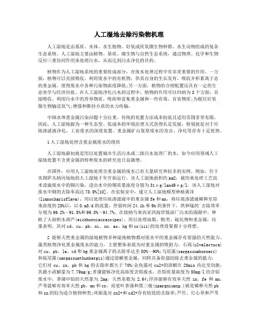 人工湿地去除污染物机理