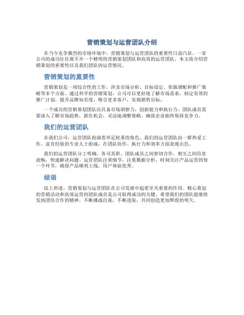 营销策划与运营团队介绍