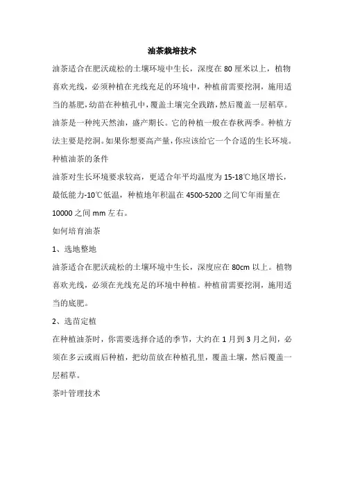 油茶栽培技术