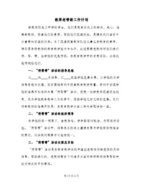 2024年教师老带新工作计划（五篇）