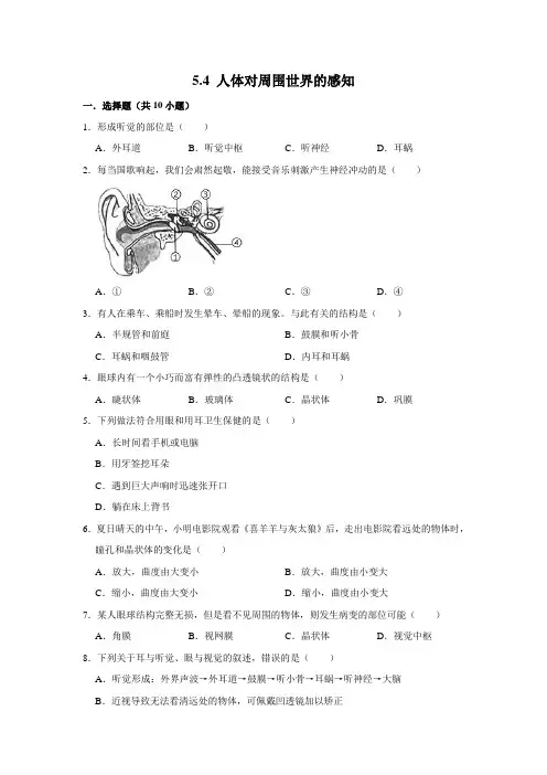 济南版生物七年级下册 人体对周围世界的感知