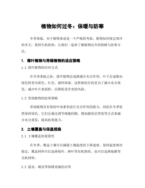 植物如何过冬：保暖与防寒