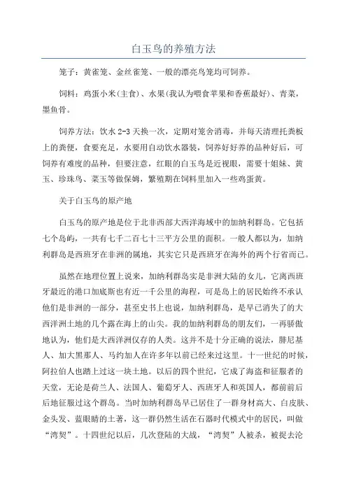 白玉鸟的养殖方法