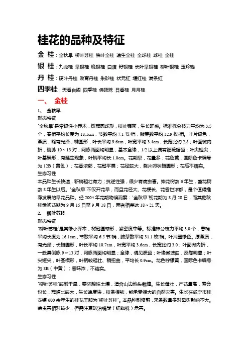 桂花的品种及特征