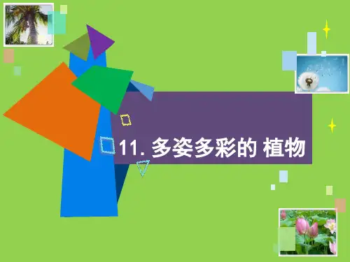 一年级下册科学课件-4.11 多姿多彩的植物18-苏教版