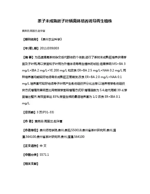 茶子未成熟胚子叶柄离体培养诱导再生植株