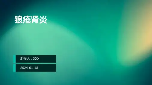狼疮肾炎汇报ppt课件