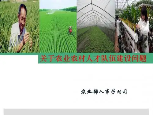 关于农业农村人才队伍建设问题