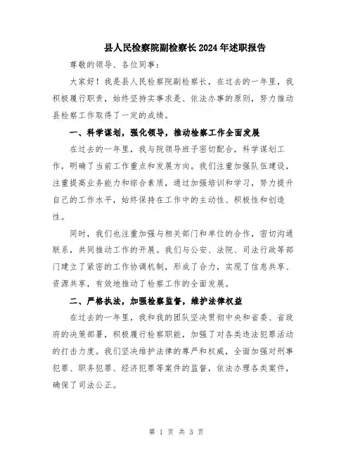 县人民检察院副检察长2024年述职报告