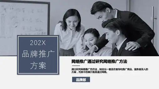 网络推广研究品牌网络推广方案PPT授课演示