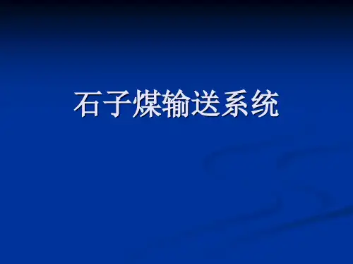 石子煤介绍