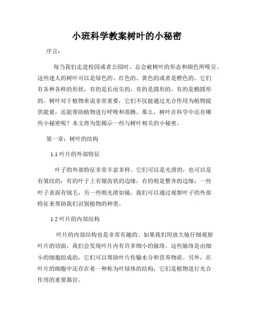 小班科学教案树叶的小秘密