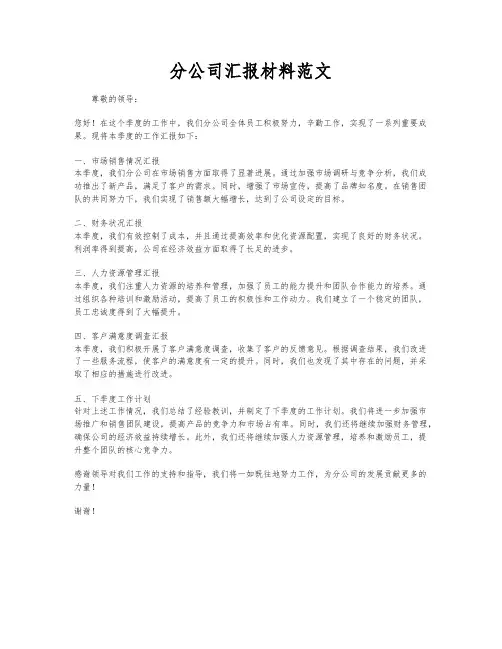 分公司汇报材料范文