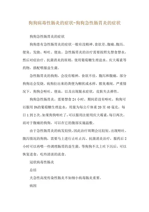 狗狗病毒性肠炎的症状-狗狗急性肠胃炎的症状