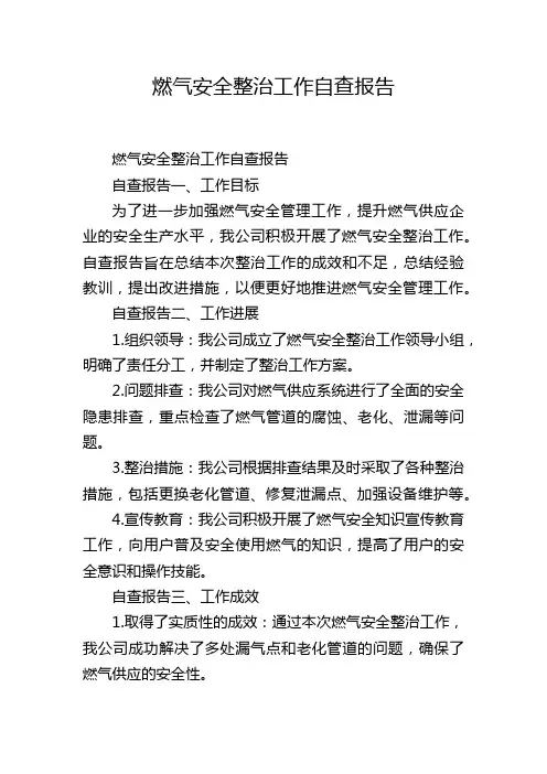 燃气安全整治工作自查报告
