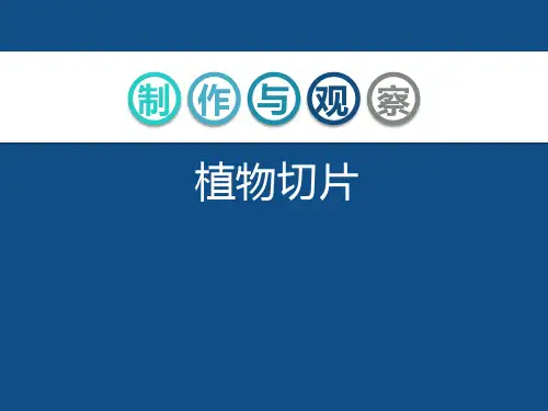 初中生物《植物切片》课件