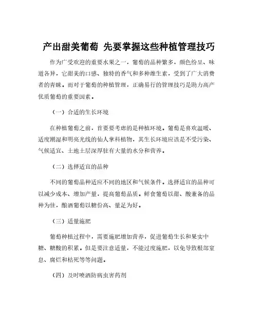 葡萄种植管理技术