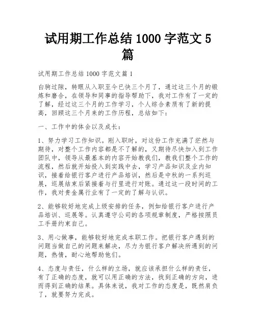 试用期工作总结1000字范文5篇