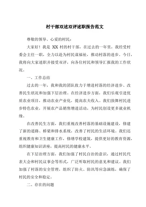 村干部双述双评述职报告范文