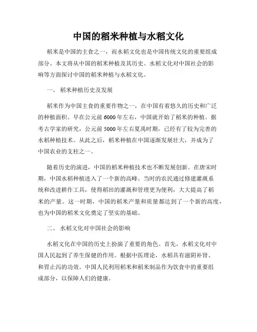 中国的稻米种植与水稻文化