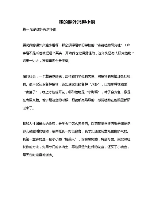 作文《我的课外兴趣小组》