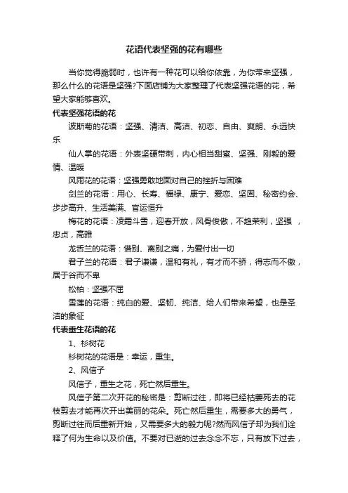 花语代表坚强的花有哪些
