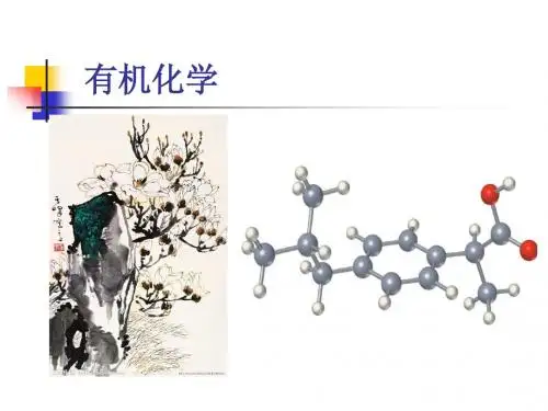 有机化学 第1章  绪论