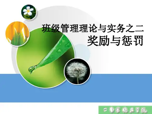 班级管理第3讲奖励与惩罚