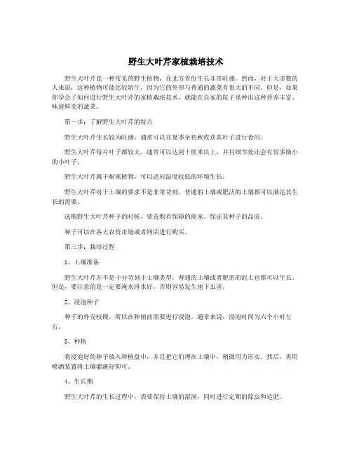 野生大叶芹家植栽培技术