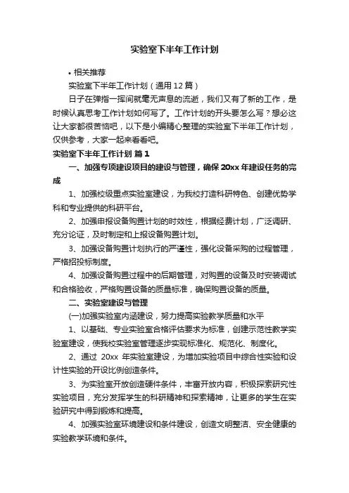 实验室下半年工作计划