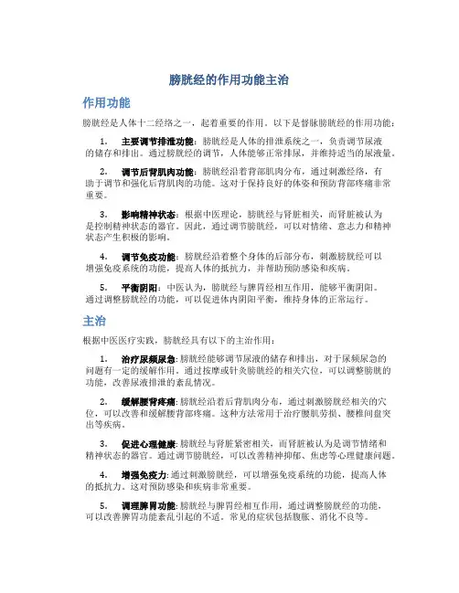 督脉膀胱经的作用功能主治