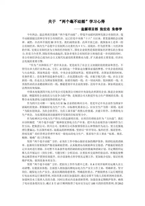两个“毫不动摇”学习心得