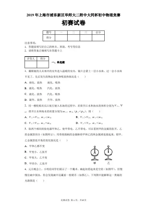 2019年上海市浦东新区华师大二附中大同杯初中物理初赛及答案解析