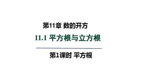 华师版八年级数学上册第11章 数的开方1 平方根
