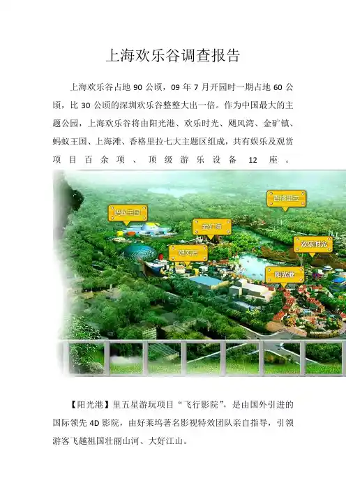上海欢乐谷调查报告