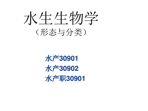 水生生物学1-蓝藻