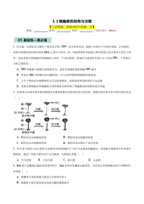 3.3细胞核的结构与功能(原题版)