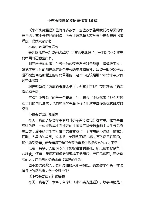 小布头奇遇记读后感作文10篇