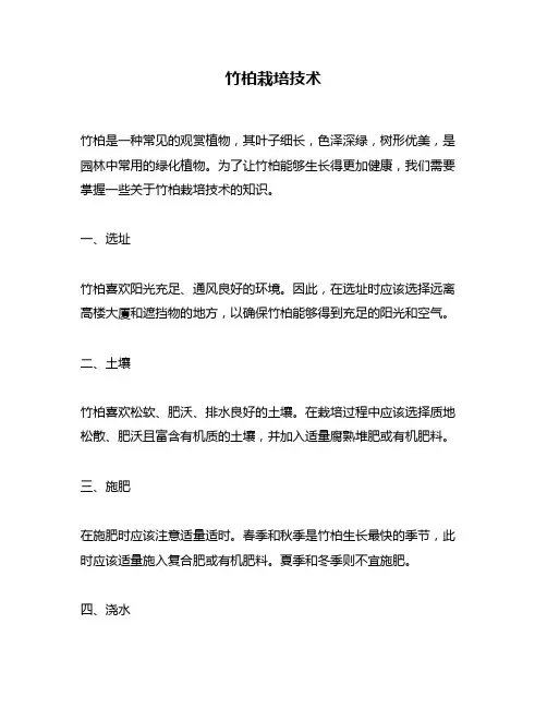 竹柏栽培技术