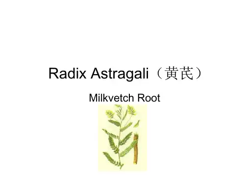 专业英语之黄芪丹参六味地黄丸