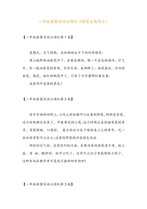 一年级看图写话公园玩(推荐3篇作文)