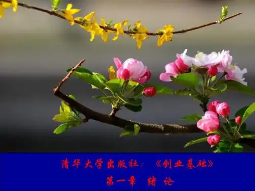 创业基础   第1章：绪论