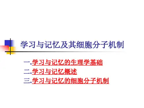 学习与记忆及其细胞分子机制(共88张PPT)