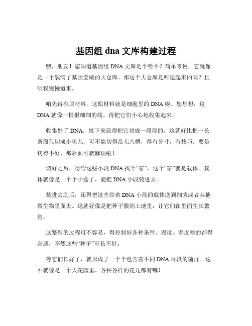 基因组dna文库构建过程