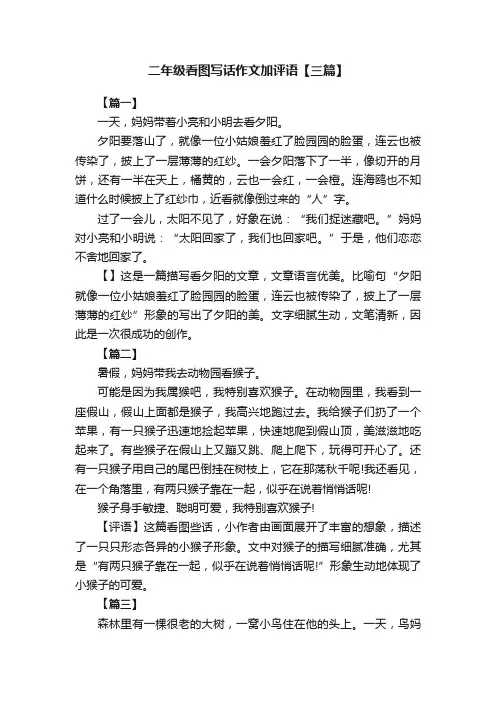 二年级看图写话作文加评语【三篇】