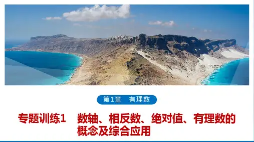 专题训练1数轴、相反数、绝对值、有理数的概念及综合应用(24张PPT)数学