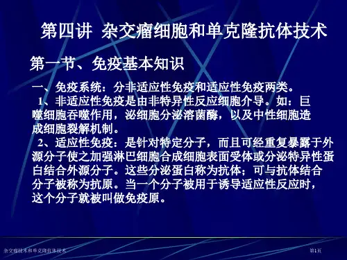 杂交瘤技术和单克隆抗体技术专家讲座
