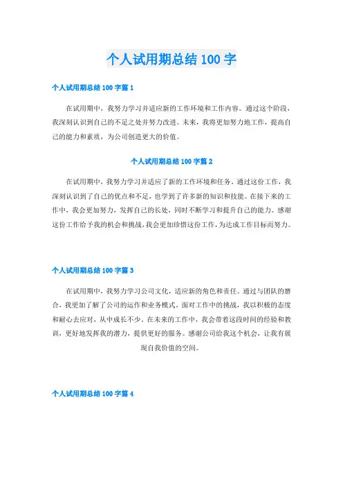 个人试用期总结100字