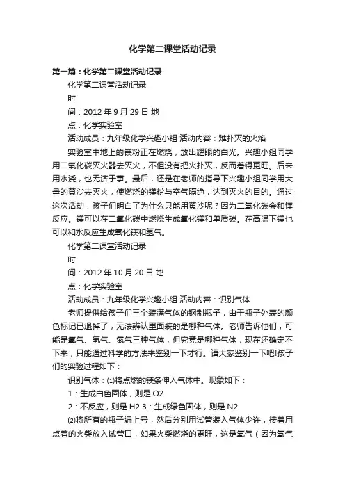 化学第二课堂活动记录